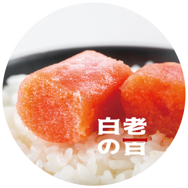 虎杖浜たらこ