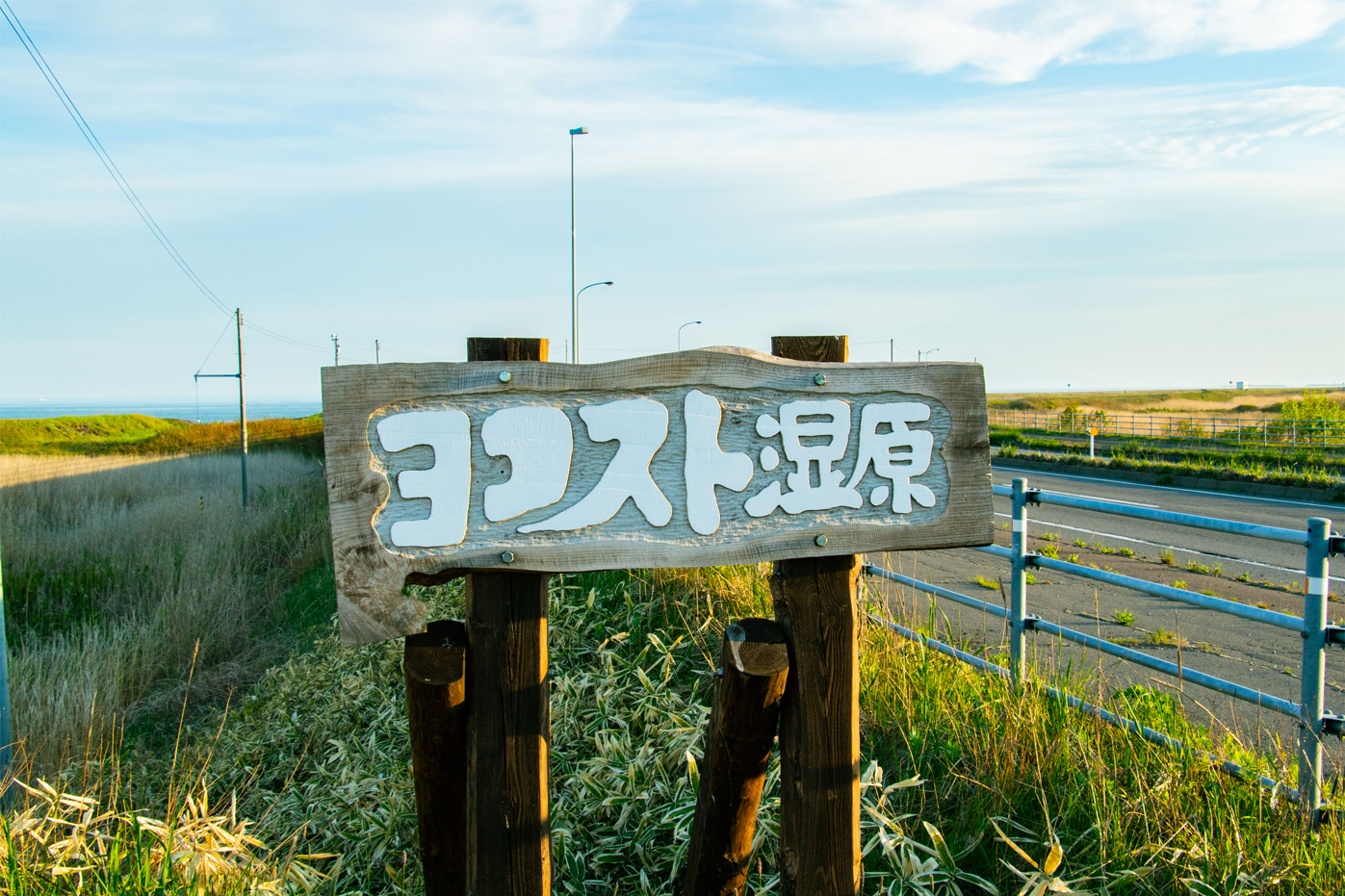 ヨコスト湿原